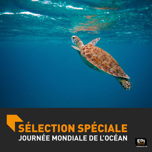 SELECTION SP&Eacute;CIALE - JOURN&Eacute;E MONDIALE DE L'OC&Eacute;AN